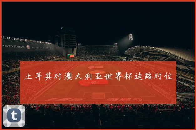 土耳其对澳大利亚世界杯边路对位