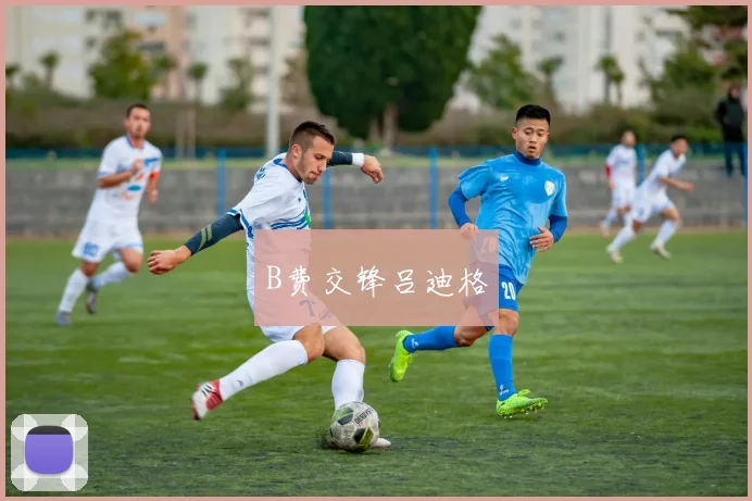 B费交锋吕迪格